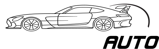 logo dzigerovauto white font